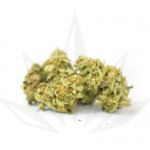 FarmCo-Cannabis-Cindy-99-1