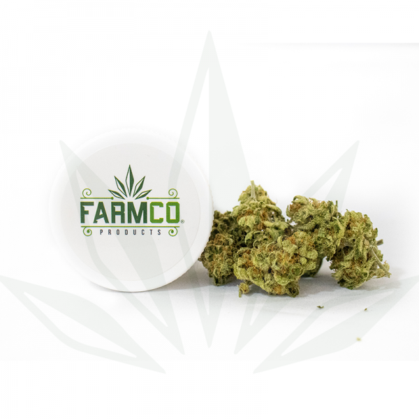 FarmCo Cannabis Cindy 99 1