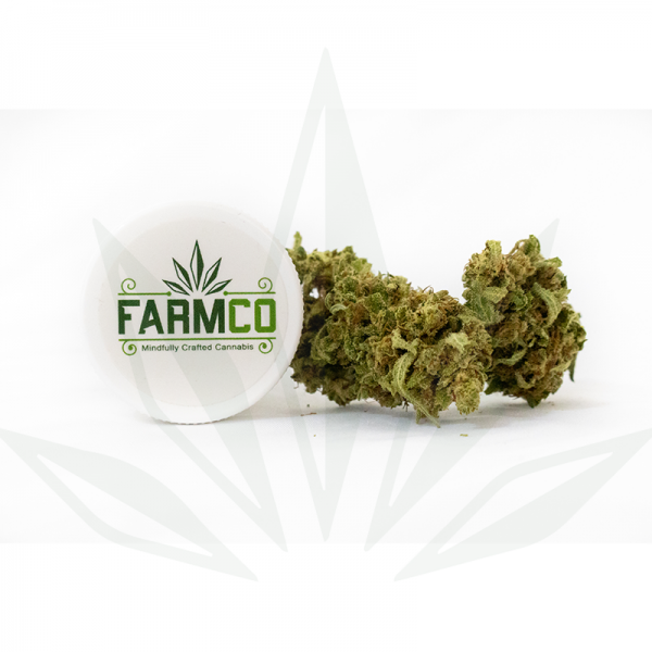 FarmCo Cannabis Future 2