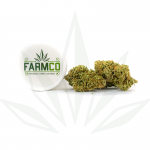 FarmCo Cannabis Shivas Dream 2