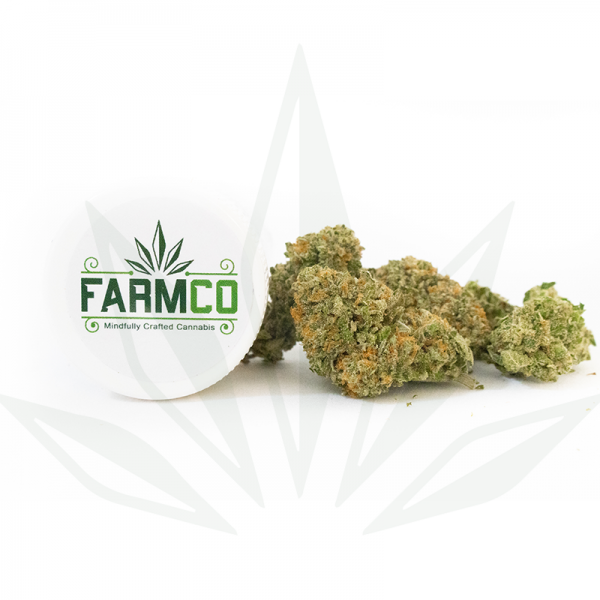 FarmCo Cannabis Humble Pie 1