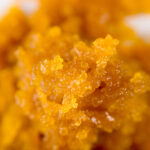 Cannabis Extraction Live Resin